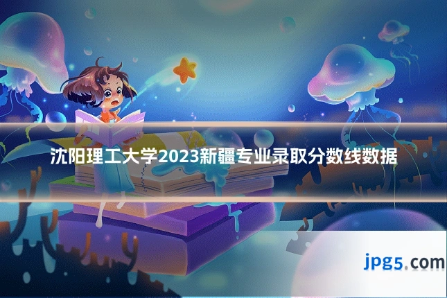 沈阳理工大学2023新疆专业录取分数线数据