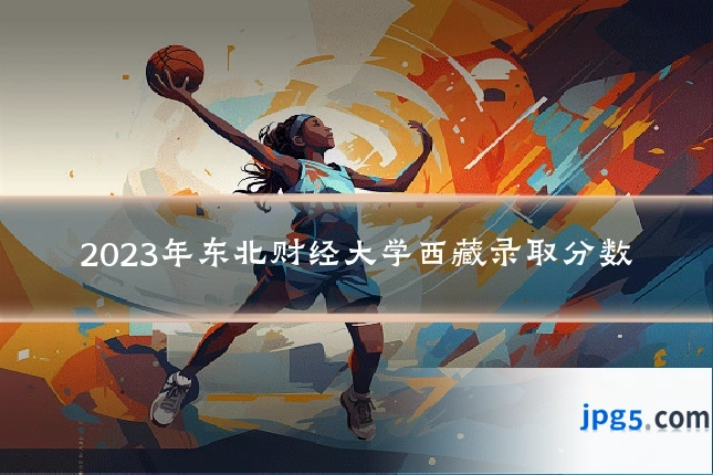 2023年东北财经大学西藏录取分数