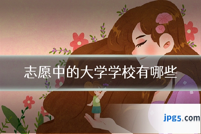志愿中的大学学校有哪些