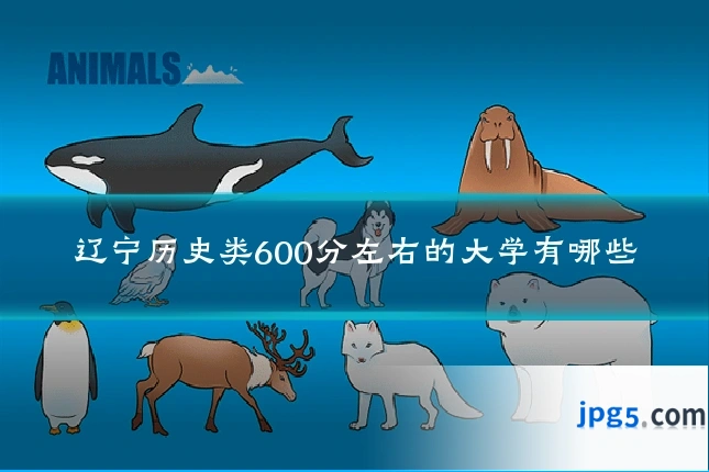 辽宁历史类600分左右的大学有哪些