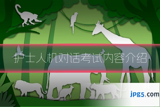 护士人机对话考试内容介绍