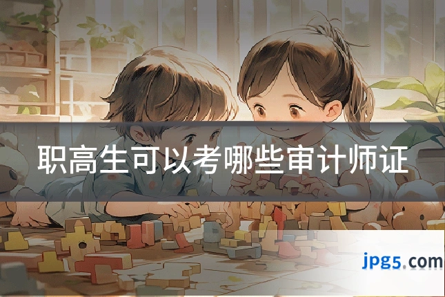 职高生可以考哪些审计师证