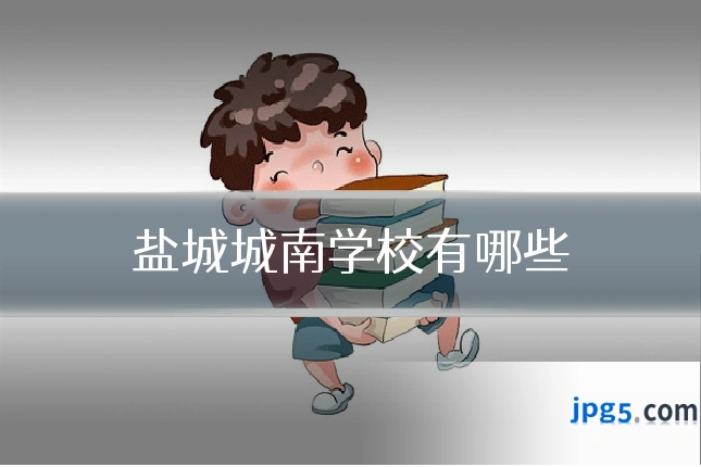 盐城城南学校有哪些