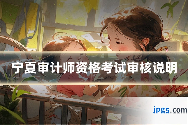 宁夏审计师资格考试审核说明