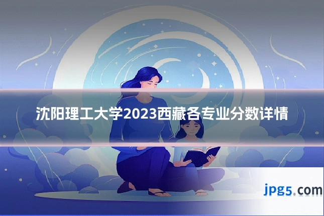 沈阳理工大学2023西藏各专业分数详情