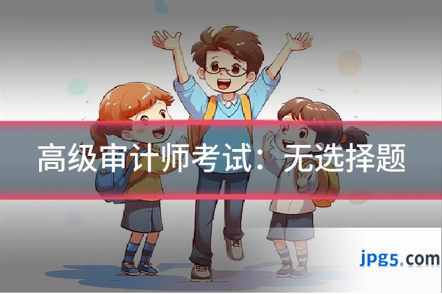 高级审计师考试：无选择题