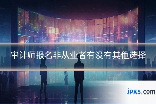 审计师报名非从业者有没有其他选择
