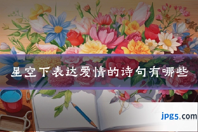 星空下表达爱情的诗句有哪些
