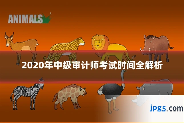 2020年中级审计师考试时间全解析