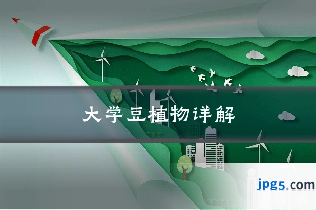 大学豆植物详解