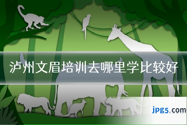 泸州文眉培训去哪里学比较好