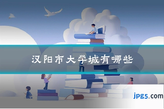 汉阳市大学城有哪些