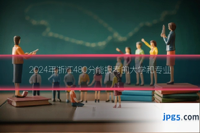 2024年浙江480分能报考的大学和专业