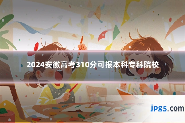 2024安徽高考310分可报本科专科院校