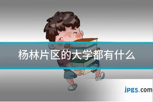杨林片区的大学都有什么
