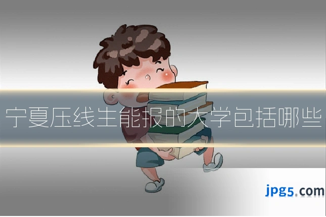宁夏压线生能报的大学包括哪些
