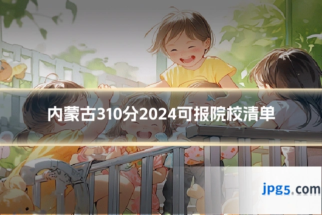 内蒙古310分2024可报院校清单