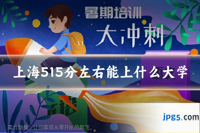 上海515分左右能上什么大学