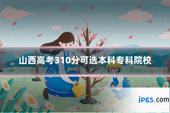 山西高考310分可选本科专科院校