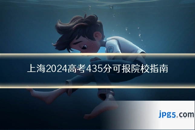 上海2024高考435分可报院校指南