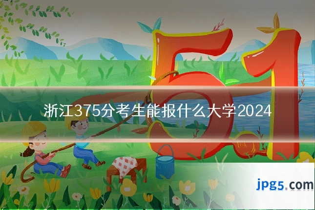 浙江375分考生能报什么大学2024