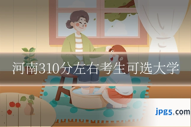 河南310分左右考生可选大学