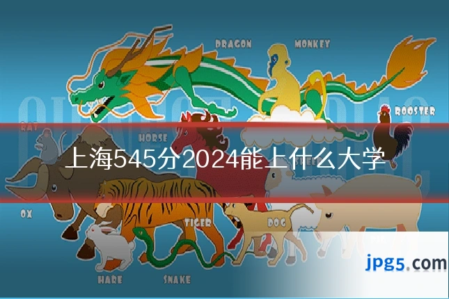 上海545分2024能上什么大学