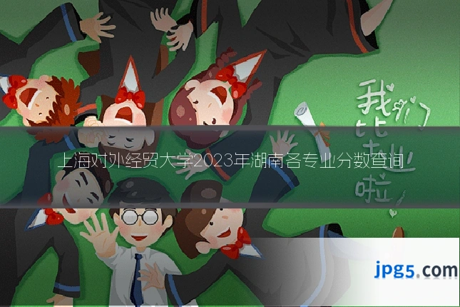 上海对外经贸大学2023年湖南各专业分数查询
