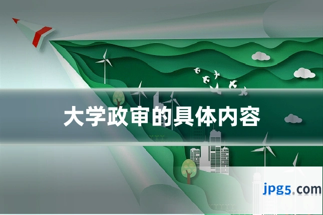大学政审的具体内容