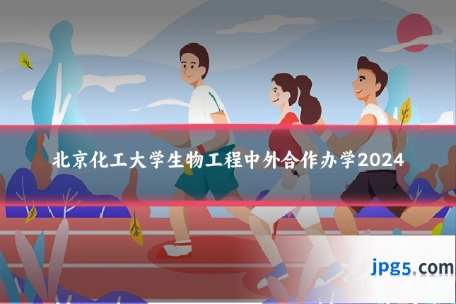北京化工大学生物工程中外合作办学2024