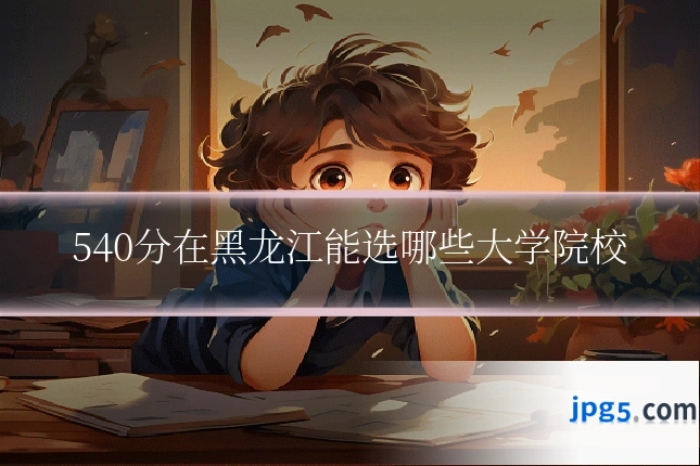 540分在黑龙江能选哪些大学院校