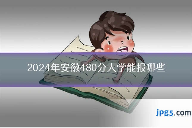 2024年安徽480分大学能报哪些