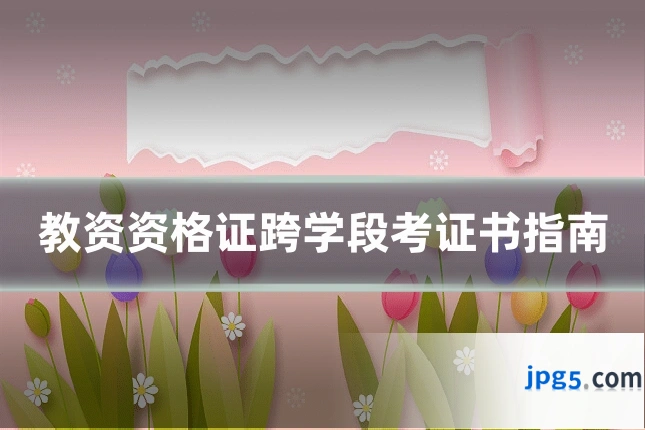 教资资格证跨学段考证书指南