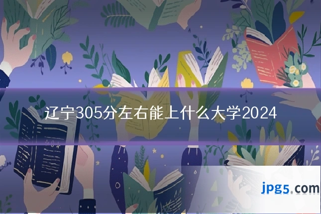辽宁305分左右能上什么大学2024