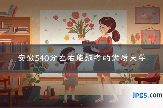 安徽540分左右能报考的优质大学