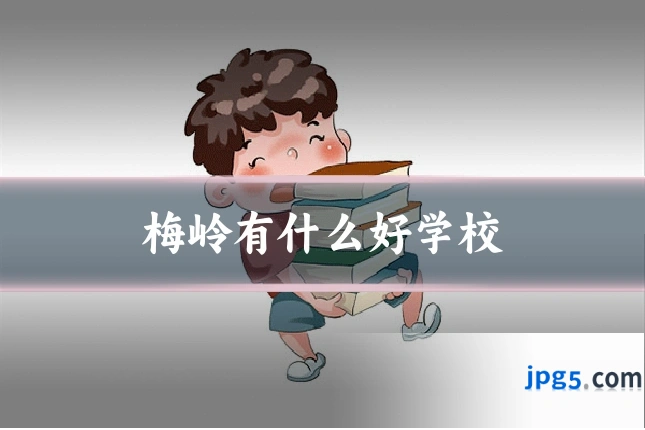 梅岭有什么好学校