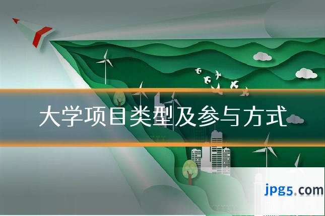 大学项目类型及参与方式