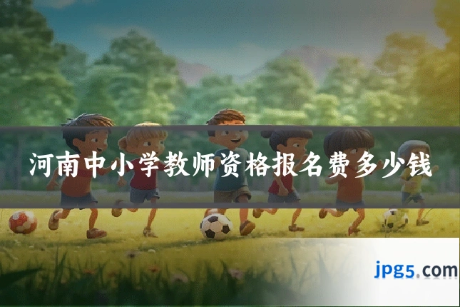 河南中小学教师资格报名费多少钱