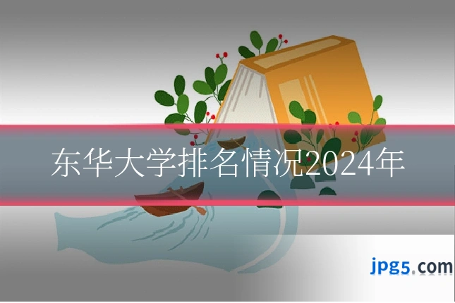 东华大学排名情况2024年