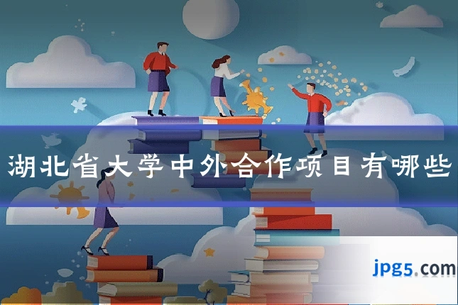 湖北省大学中外合作项目有哪些