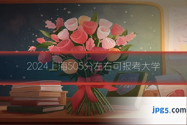 2024上海505分左右可报考大学