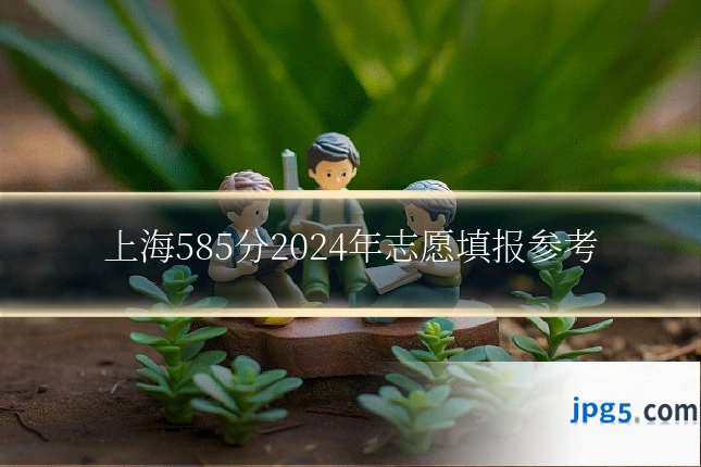 上海585分2024年志愿填报参考