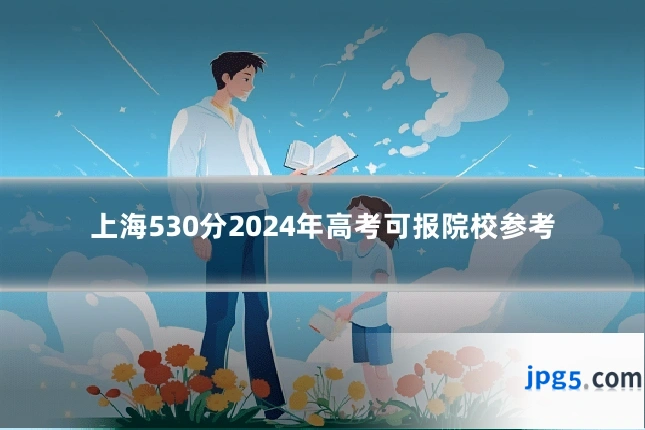 上海530分2024年高考可报院校参考