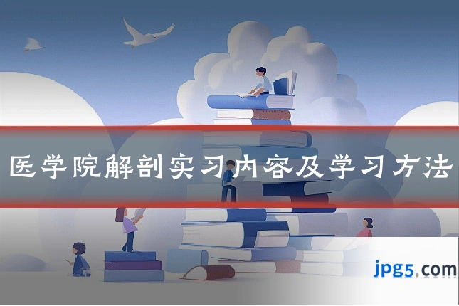 医学院解剖实习内容及学习方法