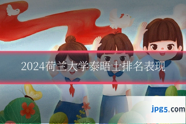 2024荷兰大学泰晤士排名表现
