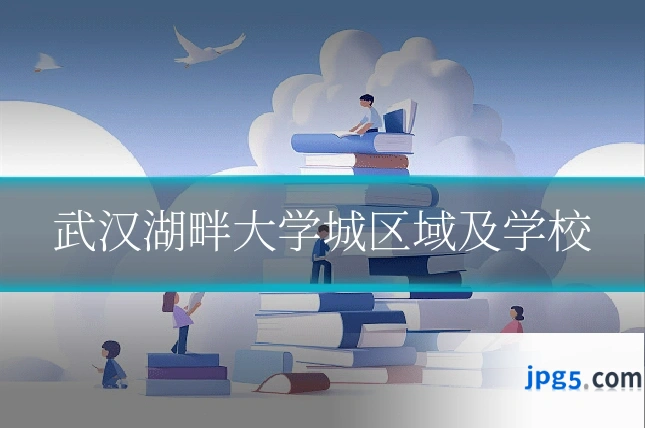 武汉湖畔大学城区域及学校