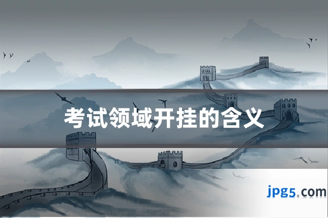 考试领域开挂的含义