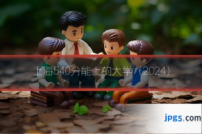 上海540分能上的大学（2024）