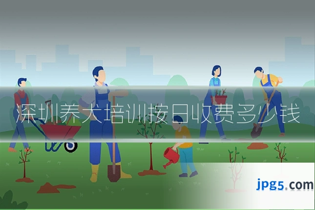 深圳养犬培训按日收费多少钱