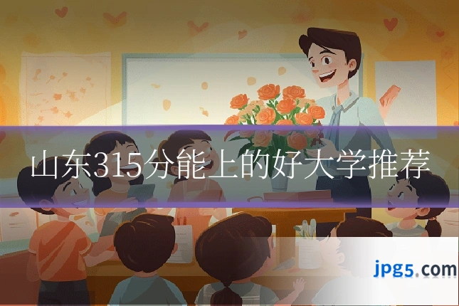 山东315分能上的好大学推荐